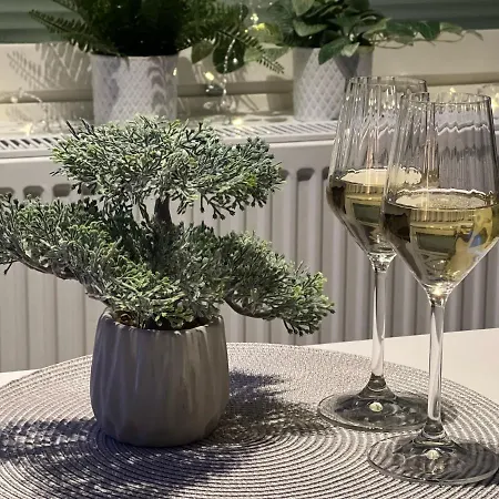 Pikkuyksioe Tapahtumien Aeaerellae ** Appartement *